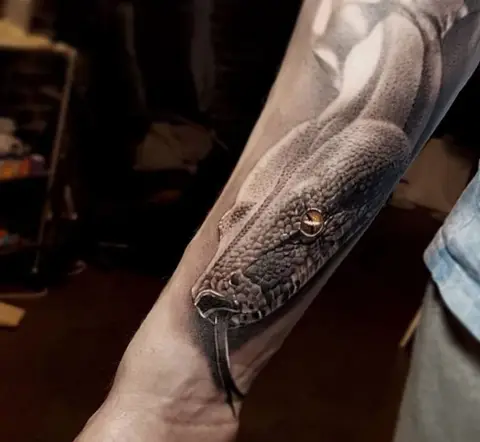 Serpiente