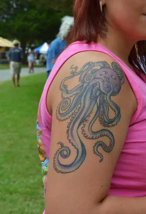 Pulpo